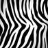 Zebra Print Surface Book 2 13.5in Skin